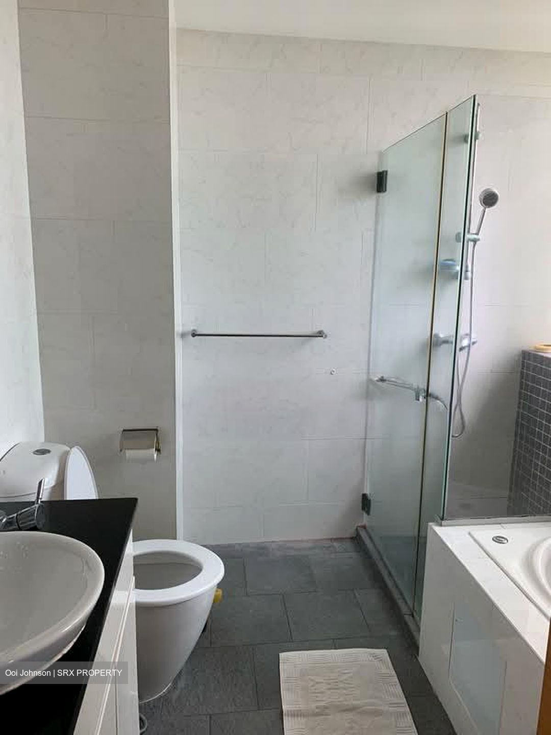 The Jade (D23), Condominium #555061111
